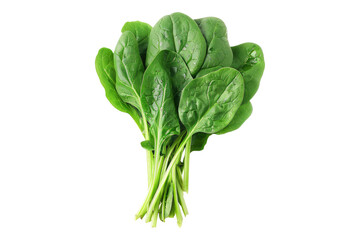 Sticker - Fresh bunch of spinach leaves isolated on white background