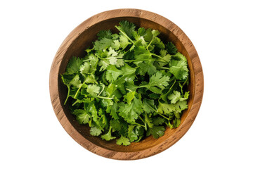 Top view of cilantro vegetable in a wooden bowl isolated on white background