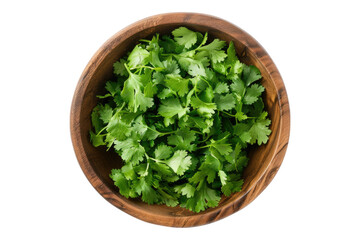 Poster - Top view of cilantro vegetable in a wooden bowl isolated on white background