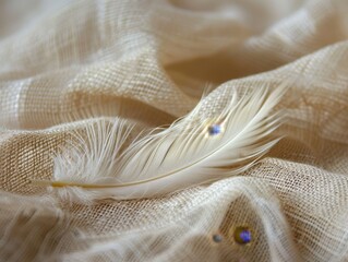 Canvas Print - Soft feather on delicate fabric