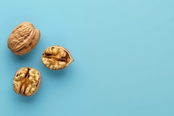 Wall Mural - a walnut with a shell and a shell in it