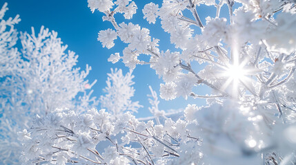 Frost and snow covered tree on a sunny winter day.