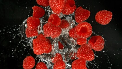Poster - Freeze Motion of Flying Raspberries into Water, Black Background.
