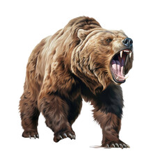 Wall Mural - drawing of an aggressive grizzly bear isolated on a transparent background