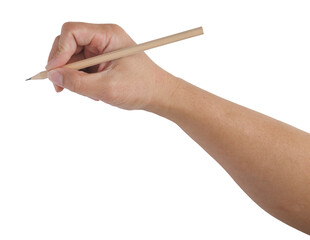 Wall Mural - a hand holding a wooden pencil and drawing on a white background. the pencil is thin and the hand is