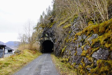 Wall Mural - old stone road