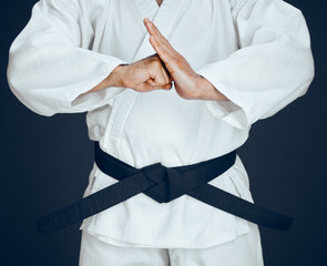 Poster - Karate, hands and person for greeting in studio for master, exercise or discipline with black belt. Man, martial arts or professional fighter in dojo for sport, expertise or self defense or taekwondo