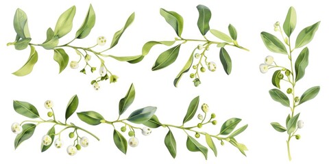 Wall Mural - Green leaves and flowers on a white background, perfect for botanical designs