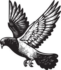 pigeon Vector sketch art illustration