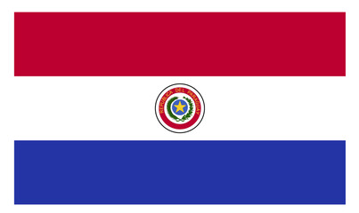 Wall Mural - Flagge - Paraguay