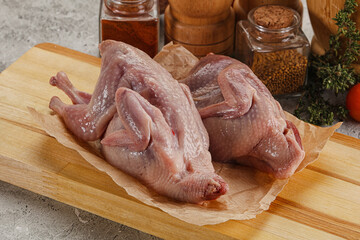 Raw gurmet quail bird preparation