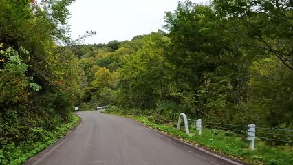 Poster - 紅葉が美しい山道をドライブ