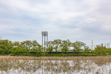 Poster - Cherry blossom trees in the Takada Castle Site Park, Japan's Top 100 Cherry Blossoms Sites, Niigata Prefecture, Japan