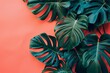 © Lucija - philodendron tropical leaves on coral color background minimal summer concept