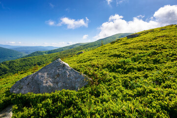 Wall Mural - boulder on the grassy slope. carpathian mountains landscape of ukraine in summer. hillside of smooth
