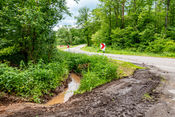 Canvas Print - Wald und Wirtschaftsweg