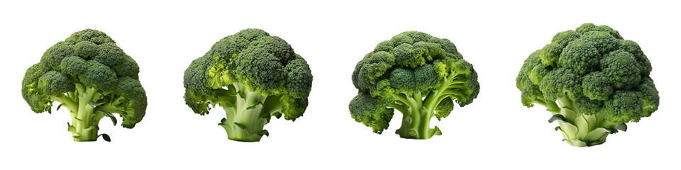 Collection set of broccolis isolated on transparent background