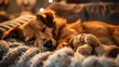 © kamonrat - A dog sleeps soundly on a soft bed, clutching a favorite stuffed toy. The toy adds a touch of playfulness to the portrait of peaceful rest.