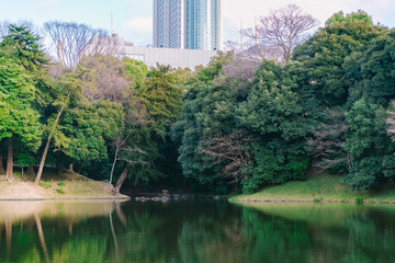 Canvas Print - lake in the park