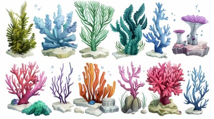 Wall Mural - The cartoon illustration shows different types of coral reefs, algae, and seaweed