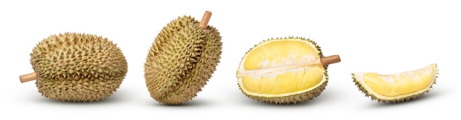 Wall Mural - Durian on white background