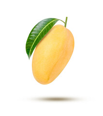 Wall Mural - Ripe yellow mango with green leaf flying in the air isolated on white background.