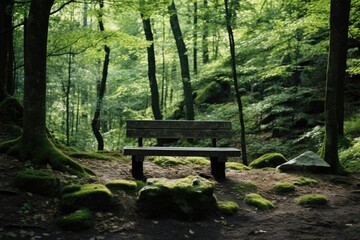 Wall Mural - A wooden bench sits in a forest, surrounded by moss and rocks. The scene is peaceful and serene, with the sunlight filtering through the trees and casting a warm glow on the bench. The bench is empty