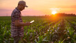 © Alon - Male agronomist inspects a corn field and uses a tablet computer at sunset