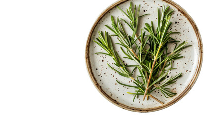 A white plate with a single vibrant sprig of rosemary placed on it