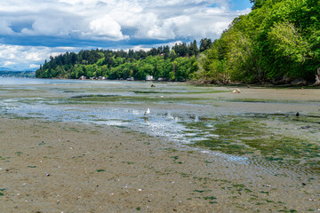 Canvas Print - Beach Park Landscape 2