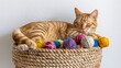 © PalaG - A contented orange tabby cat, sprawled luxuriously on a woven straw basket overflowing with colorful yarn balls, against a white wall.