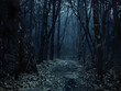 © Marcos - Mysterious Eerie Twilight Forest Pathway - Intricate Bare Trees, Leaf-Strewn Ground, Narrow Dirt Trail - Late Autumn or Early Winter Atmosphere with Shadows and Dim Lighting - Nature, Solitude