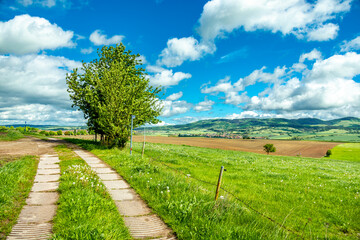 Wall Mural - Sommerliche Wanderung durch die Kurstadt an der Werra bei Bad Salzungen und ihrer einzigartigen Landschaft - Thüringen - Deutschland