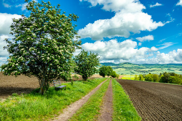 Wall Mural - Sommerliche Wanderung durch die Kurstadt an der Werra bei Bad Salzungen und ihrer einzigartigen Landschaft - Thüringen - Deutschland