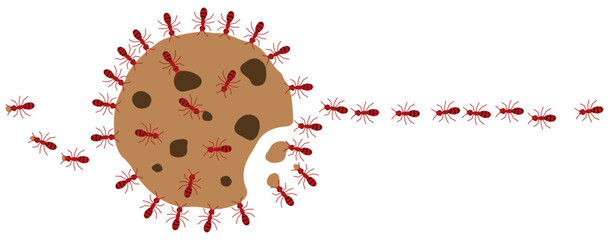 Wall Mural - Red ants eating cookie on a white background, vector illustration.