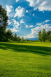 © sam - golf course on a sunny day