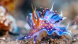 © Berkah - Underwater fish nature animal illustration water reef background.