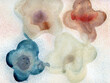 © Liliya Rodnikova/Stocksy - Delicate colors abstract flowers background