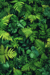 Leinwandbilder - Isometric ferns, with leaves arranged in a flowing, organic pattern,