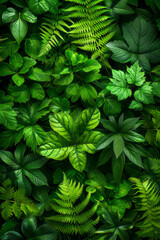 Leinwandbilder - Isometric ferns, with leaves arranged in a flowing, organic pattern,
