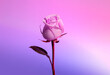 © Tatyana Lavrova/Stocksy - Tender pink colored rose on purple gradient background.