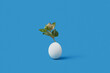 © Yaroslav Danylchenko/Stocksy - Fresh herb with developing bud sticking out white hen eggshell