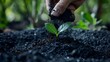 © AIsofeel - Close-up of gloved hands holding a young plant and soil, showcasing the delicate process of nurturing new life.