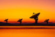 © Marcos Osorio/Stocksy - Sunset silhouettes of telecommunication antennas