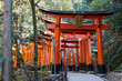 © Nicklaus Walter/Stocksy - Red Torii Gates At The Fushimi Inari Taisha Shrine In Kyoto, Japan.