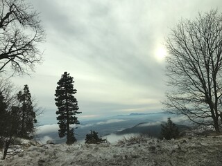 Mountains, trees, daytime, clouds, sun, sky