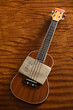 © Raymond Forbes LLC/Stocksy - Ukulele musical instrument with music Song Book