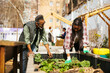 © BONNINSTUDIO/Stocksy - Urban community garden