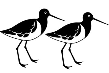 Canvas Print - sandpiper bird vector silhouette illustration