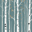© stefanbalaz - Birch tree pattern. Seamless vector illustration pattern with autumn birch trees. Perfect for textile, wallpaper or print design. Fabric Design for wallpapers, web site background, postcard.